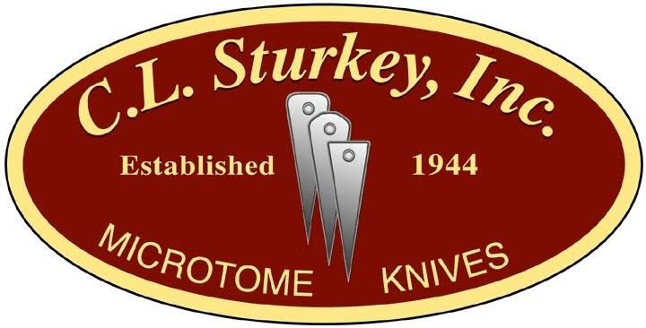 Inicio photo 2026 01 22 11 18 17 2