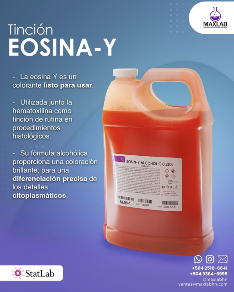 Inicio captura de pantalla 2026 02 01 a la(s) 21.37.39