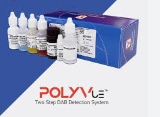 captura de pantalla 2026 02 02 a la(s) 10.24.11