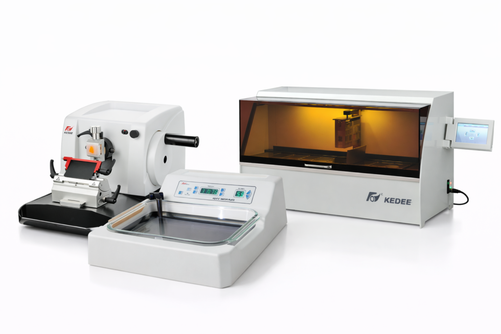 Inicio chatgpt image 2 feb 2026, 23 07 30