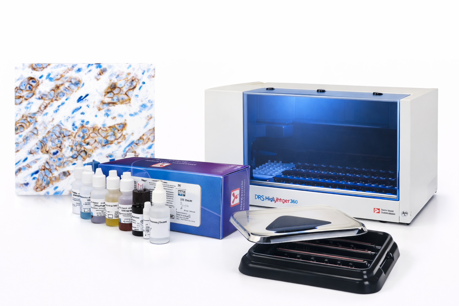 Inicio chatgpt image 2 feb 2026, 23 13 16