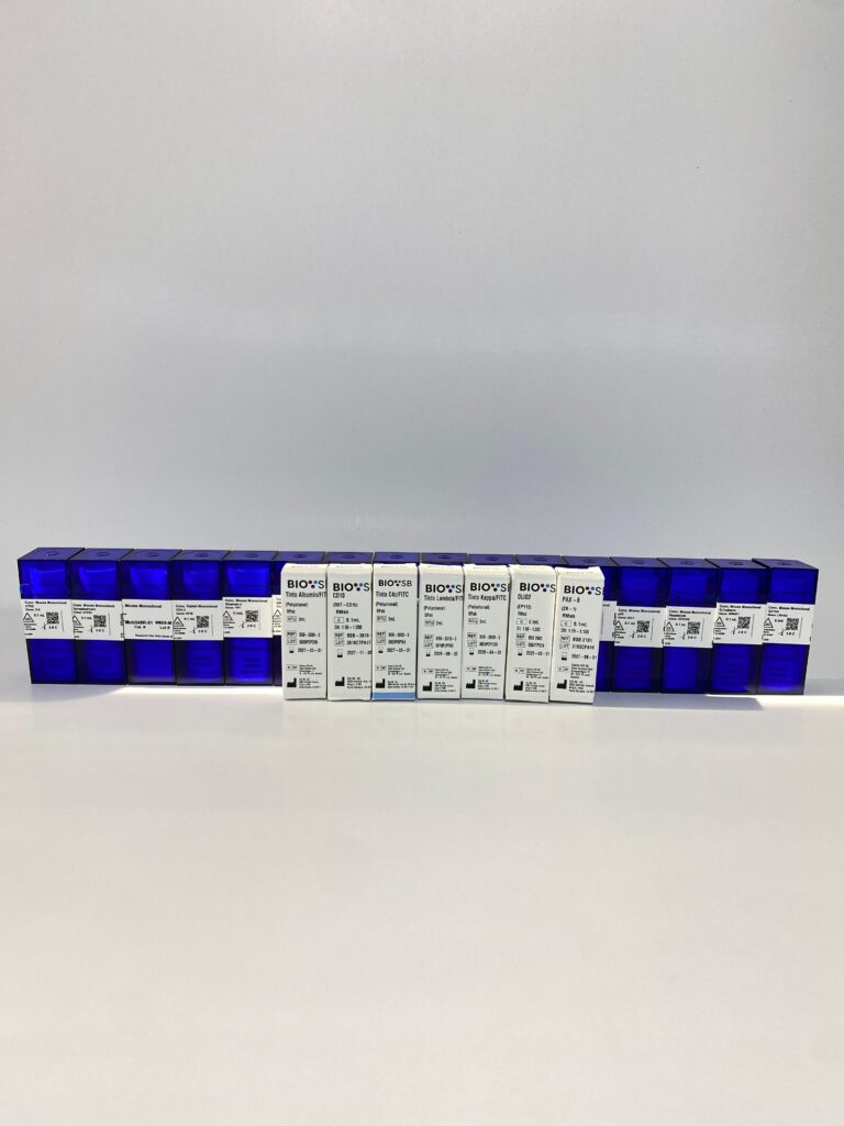 photo 2025 09 10 08 28 35